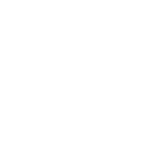 Rebrand_SportProject_logo_PDF_Alb